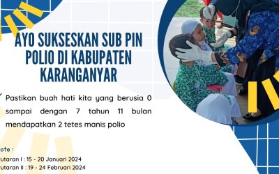 Pelaksanaan Sub Pin Polio