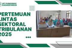pertemuan lintas sektoral tribulanan 2025