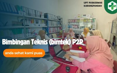 Bimbingan Teknis (bimtek) P2P